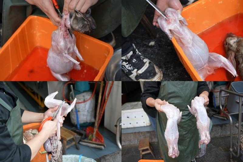 Hướng dẫn cách làm thịt thỏ sống không bị tanh cho người mới 7 Cách làm thịt thỏ sống ngon thơm, mềm ngọt và không bị hôi