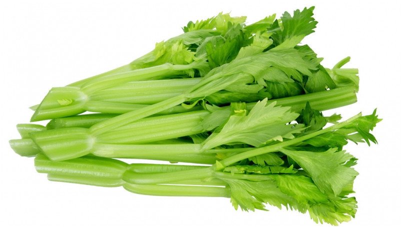 Rau cần tây lợi tiểu gây gián đoạn giấc ngủ