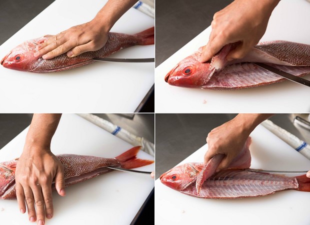 Phi-lê dọc sống lưng cá